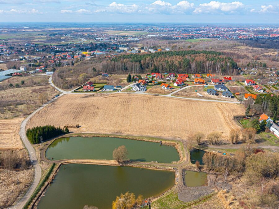 Panorama z Gronowa Górnego w kierunku Elbląga